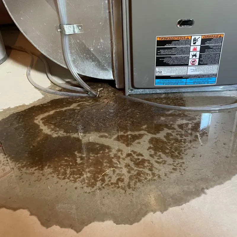 Pipe Burst and Leak Restoration in Clay County, AR