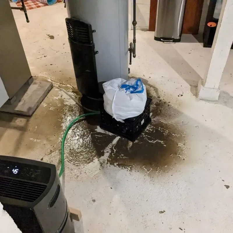 Sewage Backup Cleanup Service in Clay County, AR